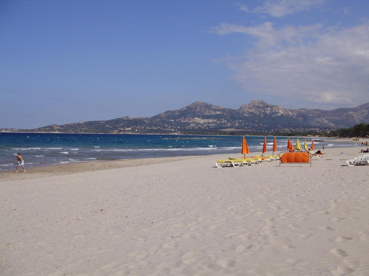 Apartment F1 Calvi A 150 Metres De La